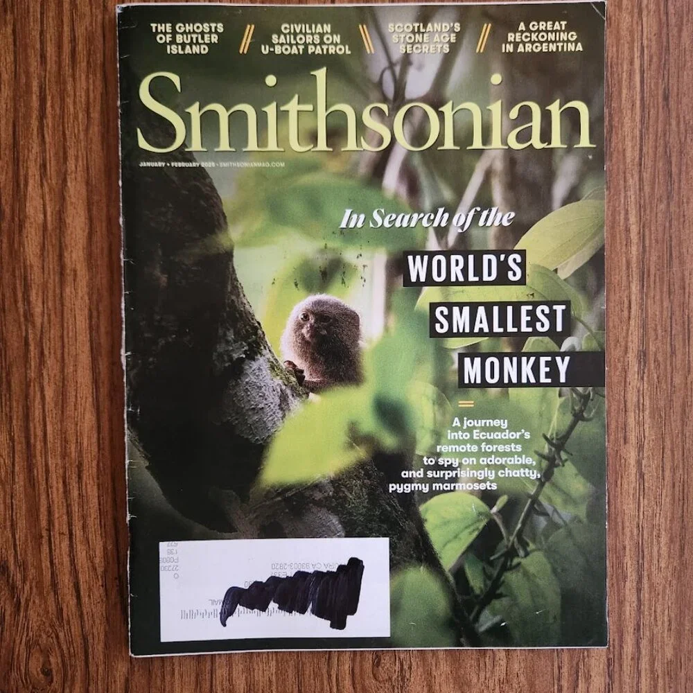 Smithsonian Magazine Bundle Lot 6 Issues Magazines Travel Science History Read